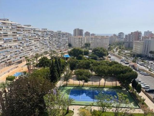Estudio en alquiler en l'Alacantí, Valencia
