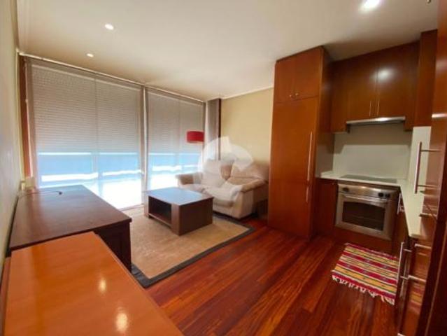 Estudio en alquiler en Centro, Ourense
