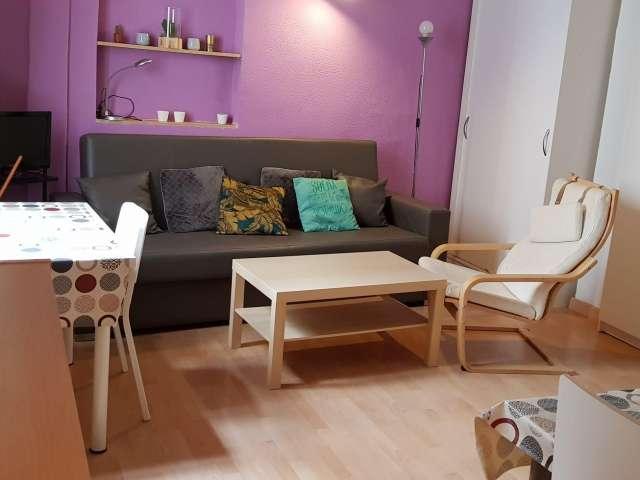 Estudio en alquiler en Centro, Madrid