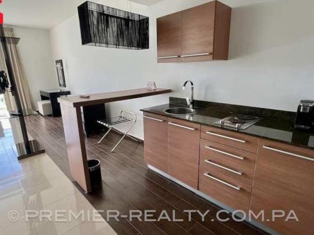 ESTUDIO CON VISTAS A LA LAGUNA A2206 092