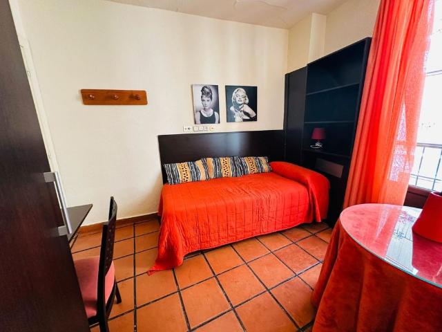 Estudio en alquiler en Centro, Comarca de la Vega de Granada