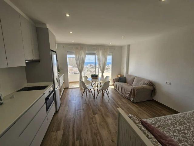 Estudio en alquiler en l'Alacantí, Valencia