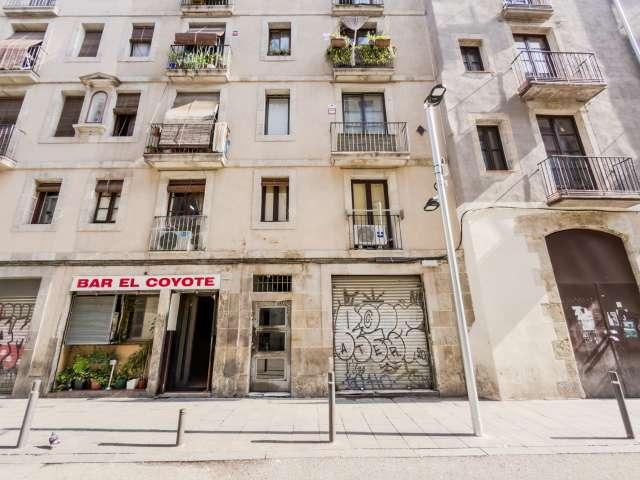 Estudio en alquiler en Ciutat Vella, Barcelonès