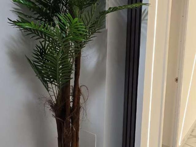 Estudio en alquiler en Vistahermosa, l'Alacantí