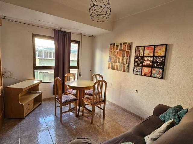 Estudio en alquiler en les Carolines Baixes, l'Alacantí