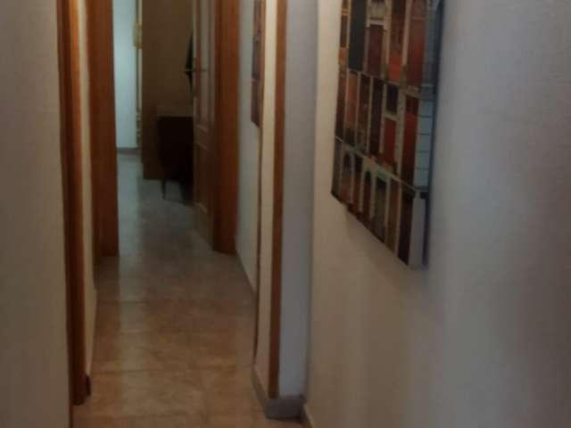 Estudio en alquiler en Alicante, les Carolines Baixes