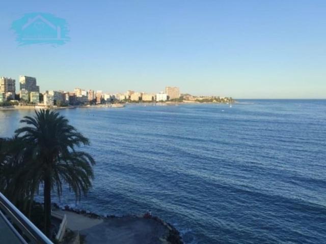 Estudio en alquiler en Alicante, l'Albufereta