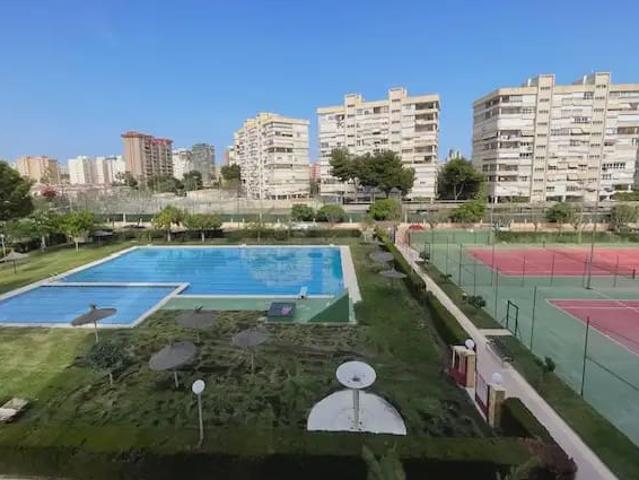 Estudio en alquiler en l'Alacantí, Valencia