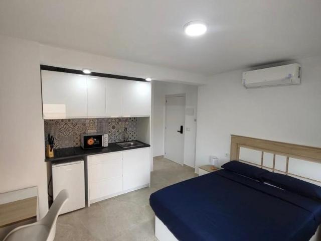 Estudio en alquiler en Carolinas Altas, l'Alacantí