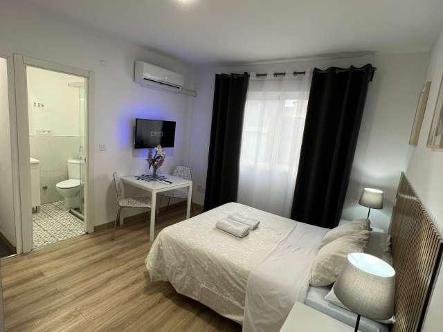 Estudio en alquiler en Centro, Madrid