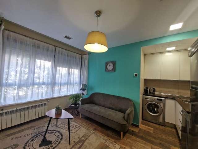Estudio en alquiler en Madrid, Arapiles