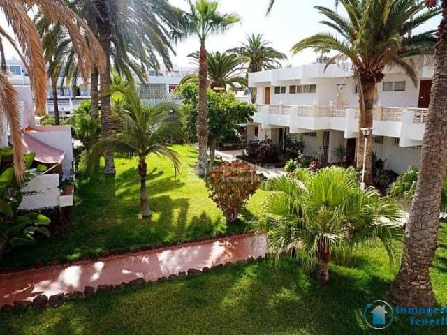 Estudio en alquiler en Costa del Silencio, Arona