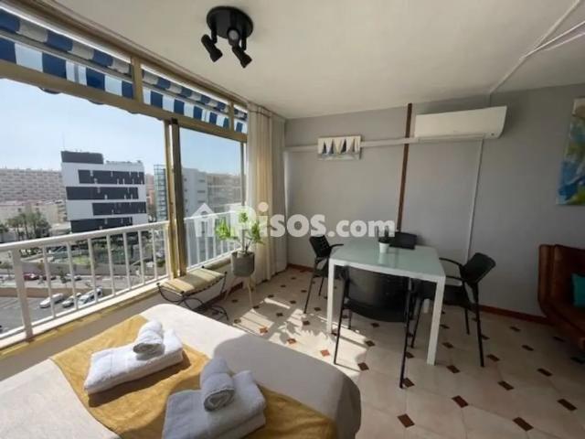 Estudio en alquiler en Centre Històric, l'Alacantí