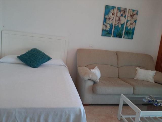 Estudio en alquiler en Costa, Benalmádena