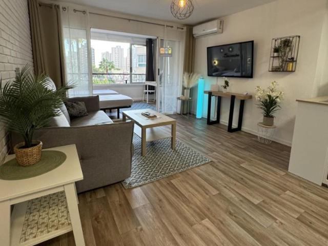 Estudio en alquiler en Benidorm, Alicante