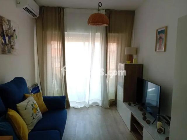 Estudio en alquiler en Centre Històric, l'Alacantí