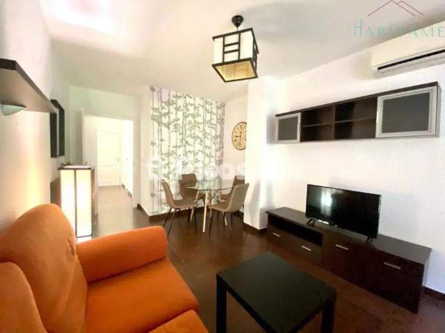 Estudio en alquiler en Ronda, Comarca de la Vega de Granada