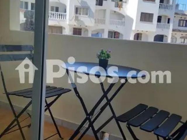Estudio en alquiler en Centre Històric, l'Alacantí