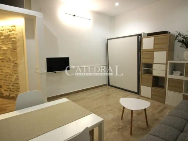 Estudio en alquiler en Casco Antiguo, Sevilla