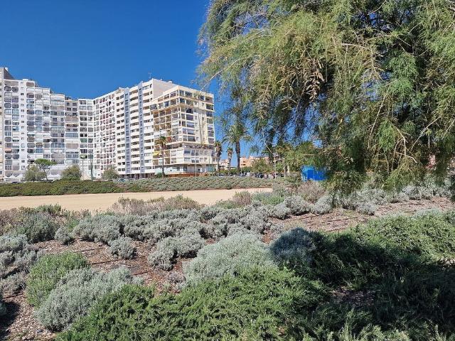 Estudio en alquiler en Empuriabrava, Alt Empordà