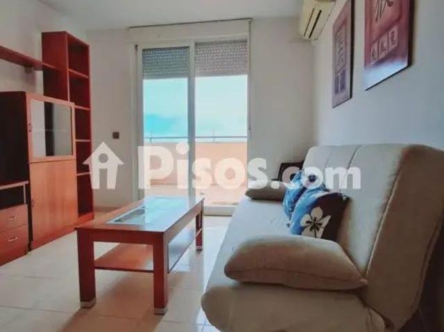 Estudio en alquiler en Barrio de las Cruces, Almería