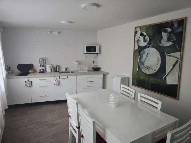 Estudio en alquiler en San Blas - Canillejas, Madrid