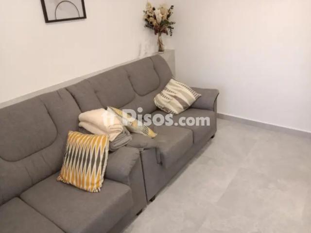 Estudio en alquiler en el Raval de Santa Teresa, el Baix Vinalopó