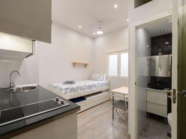 Estudio en alquiler en Madrid, Castellana