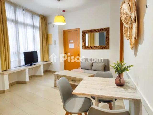 Estudio en alquiler en Centro, Málaga-Costa del Sol