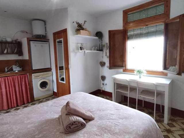 Estudio en alquiler en Centro, Málaga-Costa del Sol