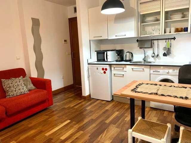 Estudio en alquiler en Centro, Comarca de la Vega de Granada