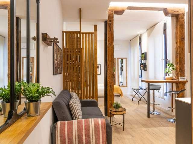 Estudio en alquiler en Embajadores, Madrid