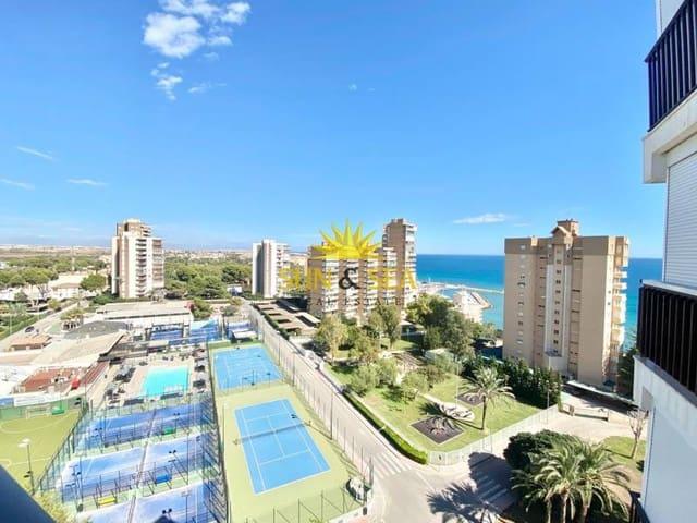 Estudio en alquiler en Orihuela, Mil Palmeras