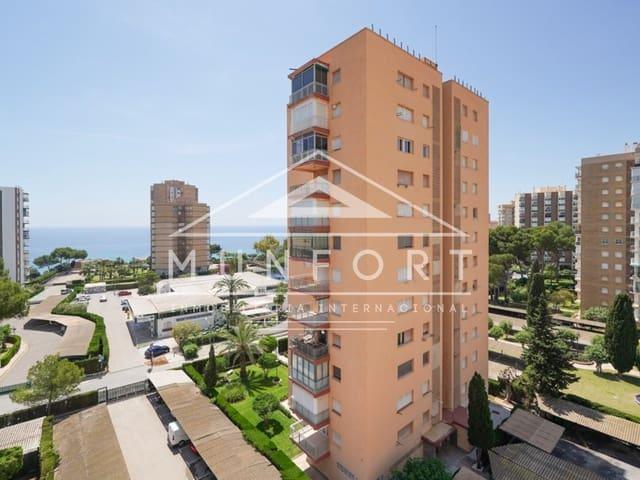 Estudio en alquiler en Mil Palmeras, Orihuela