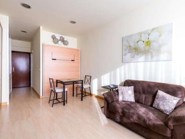 Estudio en alquiler en Sevilla, Encarnación-Regina