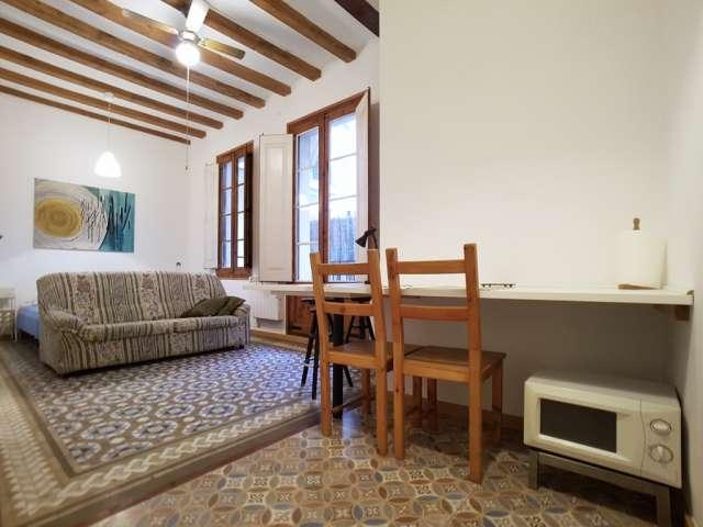 Estudio en alquiler en Ciutat Vella, Barcelonès