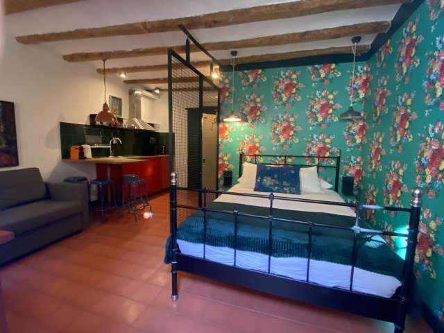 Estudio en alquiler en Ciutat Vella, Barcelonès