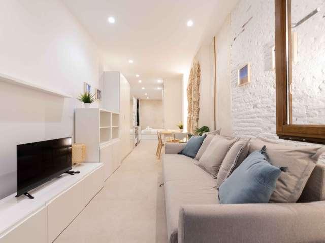 Estudio en alquiler en Ciutat Vella, Comarca de València