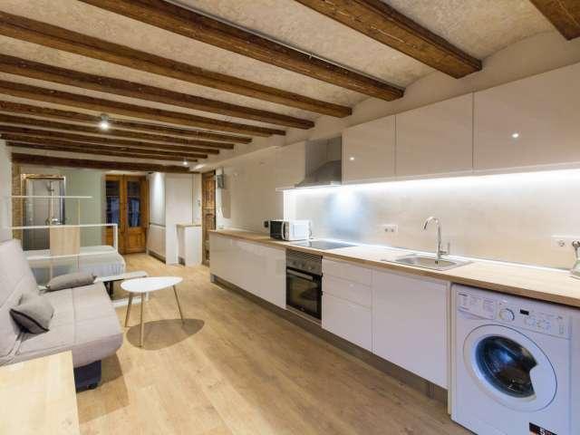 Estudio en alquiler en el Raval, Barcelona