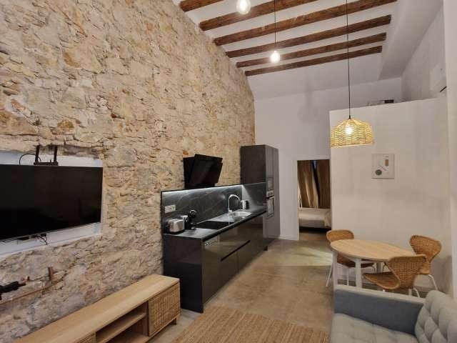 Estudio en alquiler en Ciutat Vella, Barcelonès