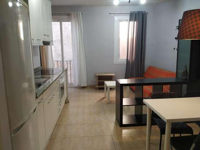 Estudio en alquiler en Ciutat Vella, Barcelonès