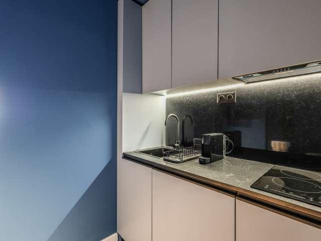 Estudio en alquiler en Centro, Madrid