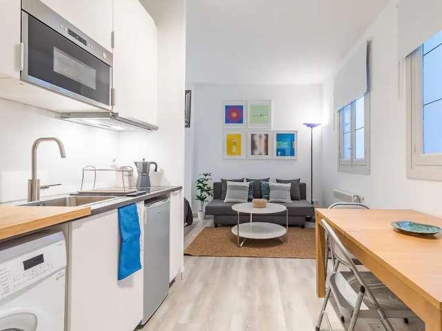 Estudio en alquiler en Centro, Madrid