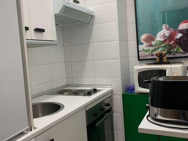 Estudio en alquiler en Madrid, Embajadores
