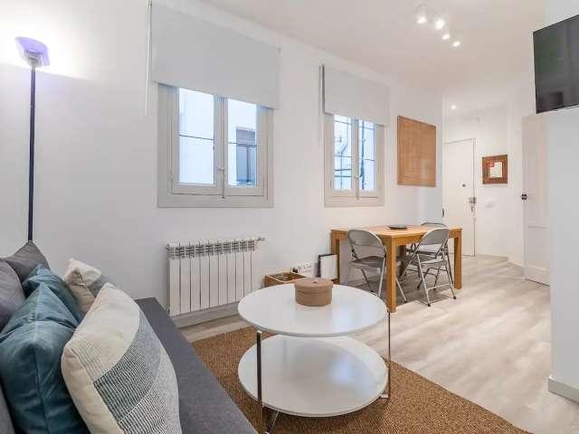 Estudio en alquiler en Centro, Madrid