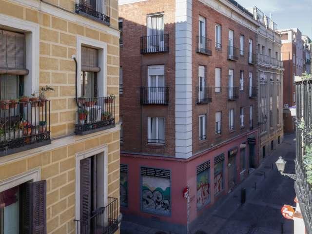 Estudio en alquiler en Madrid, Embajadores