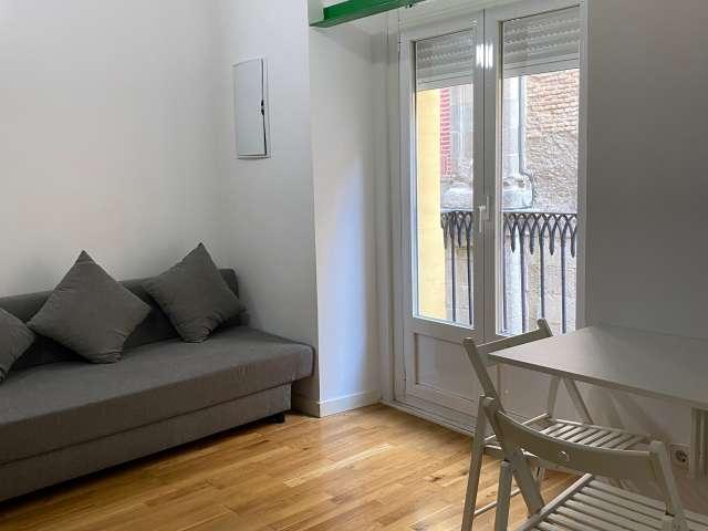 Estudio en alquiler en Centro, Madrid