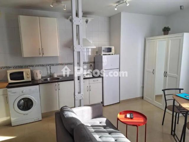 Estudio en alquiler en Casco Antiguo, Sevilla