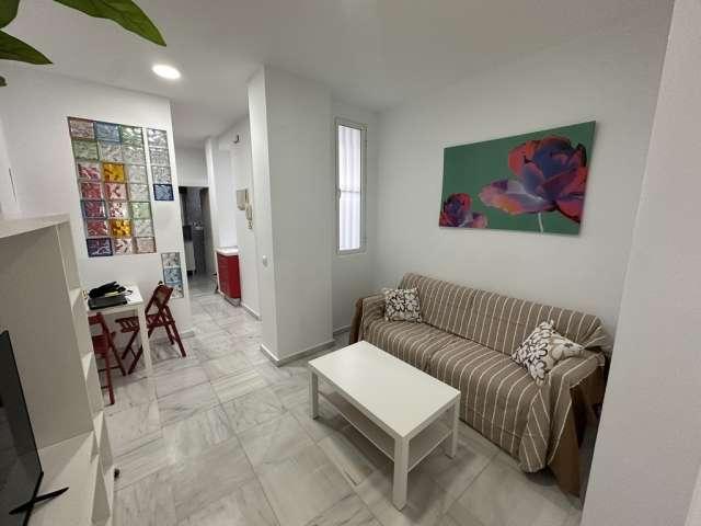 Estudio en alquiler en Casco Antiguo, Sevilla