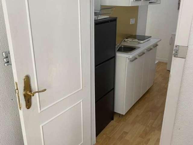 Estudio en alquiler en Madrid, Universidad